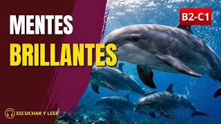 La Sorprendente Mente del Delfín 🐬🧠 | Spanish Listening &amp; Reading (B2-C1)