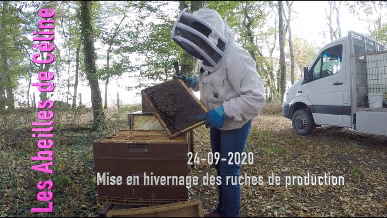 24-09-2020 Mise en hivernage des ruches de production.