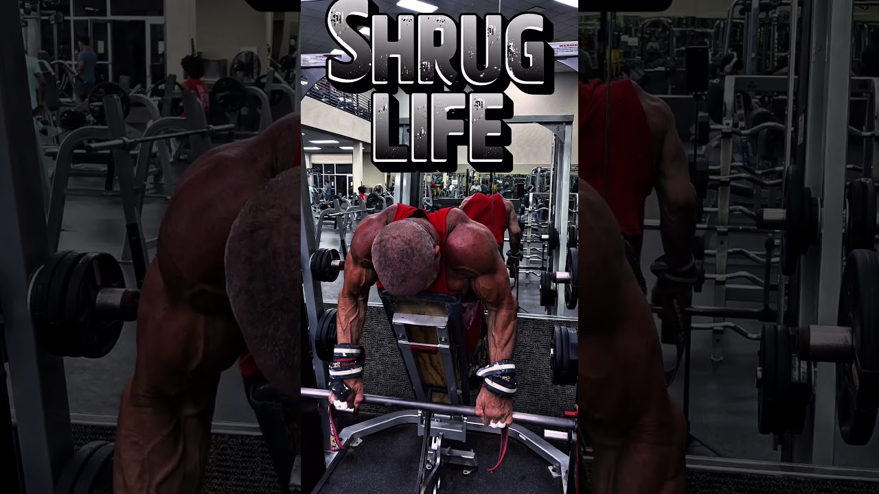SHRUG LIFE #motivation #workout #muscle