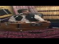 Sharafat Parwani 2018 