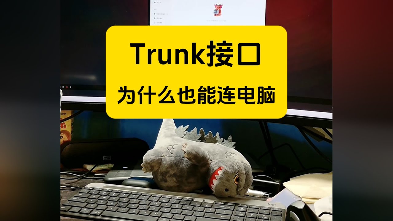 Trunk接口为什么也能接电脑？