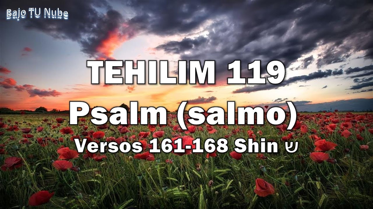 TEHILIM 119:161-168 Shin ש -Shmulick Nadel (Hebreo / Español) - YouTube