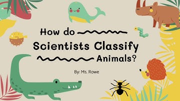 How do scientists classify animals? Let’s find out.