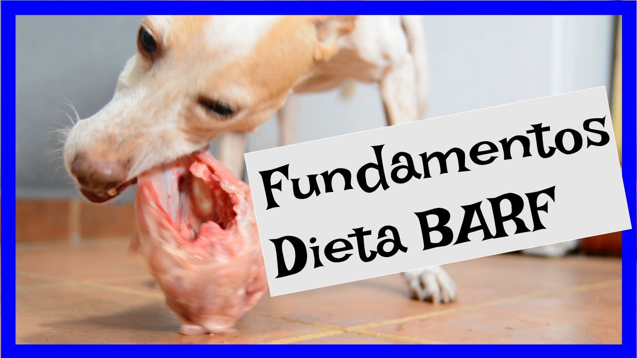 Comprar dieta barf para perros