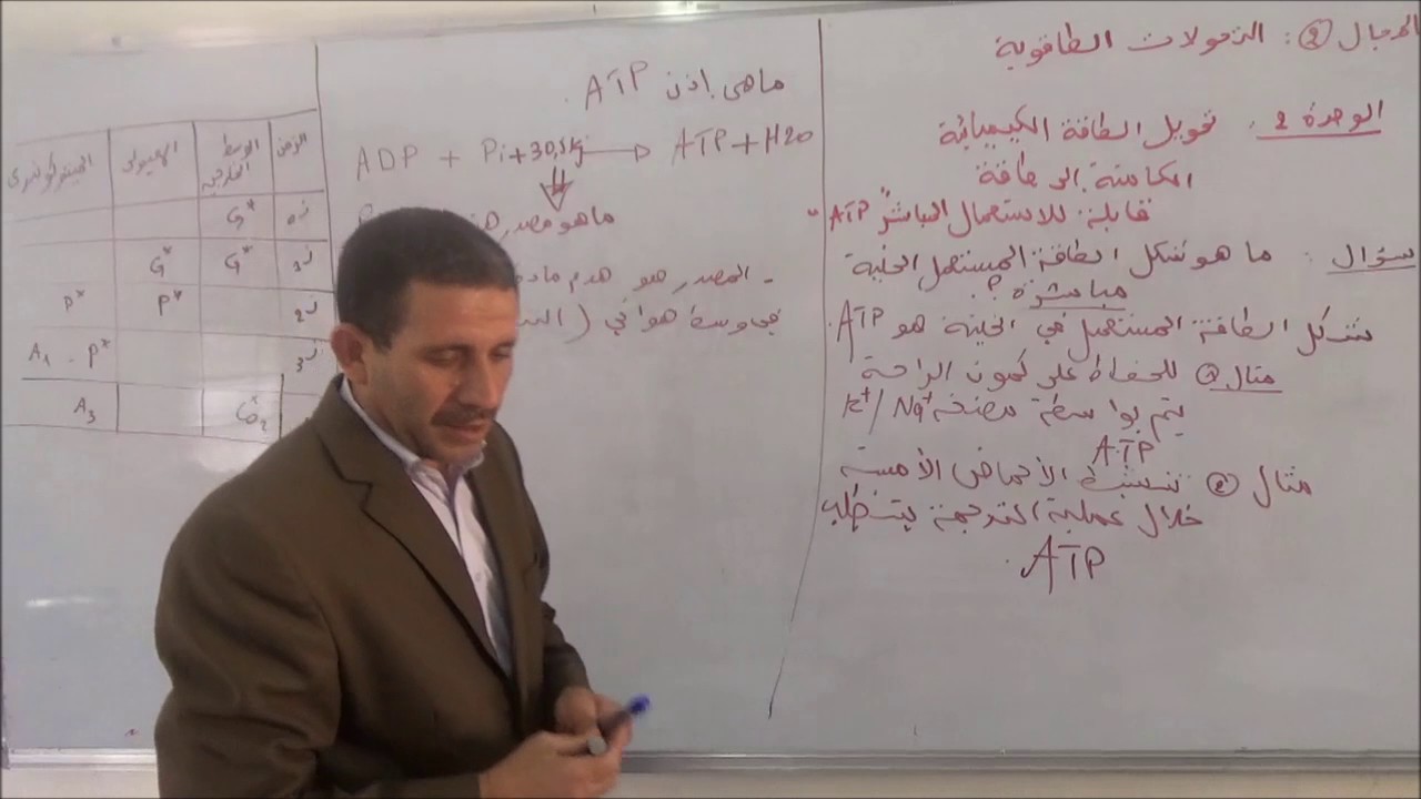 المجال 2   التنفس الجزء 1
