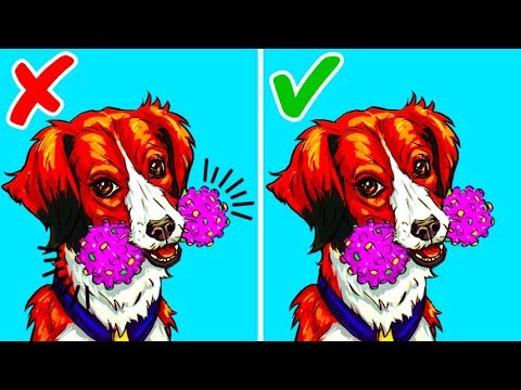 فيديو: أفكار الفناء الخلفي الصديقة للحيوانات الأليفة - نصائح حول Dogscaping الفناء الخلفي الخاص بك
