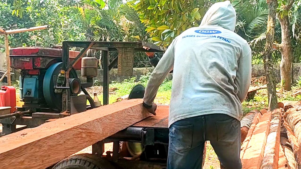 Cara jitu proses penggergajian kayu kelapa agar presisi 