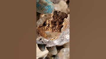 Prospecting this Unbelievable Calcite Cystal  💎 Specimen in NY #shorts #thefinders