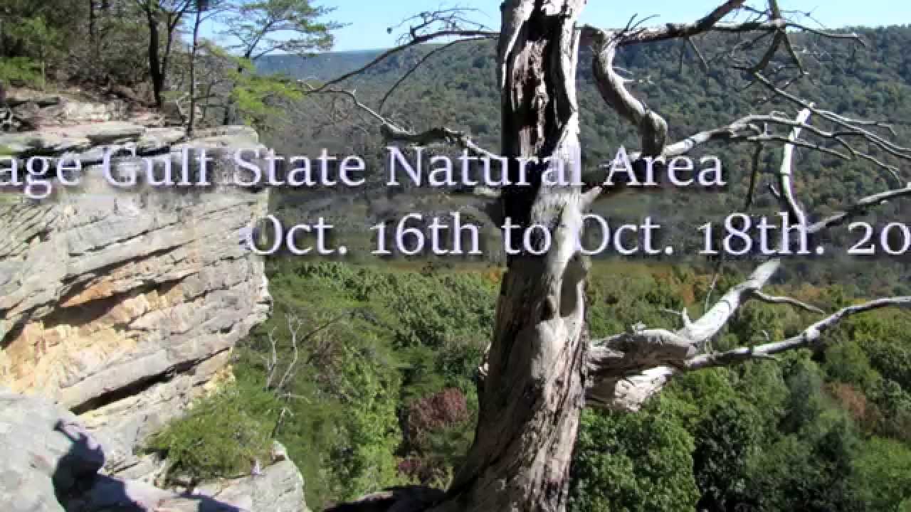 Savage Gulf Backpacking Trip YouTube