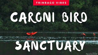 The Caroni Bird Sanctuary