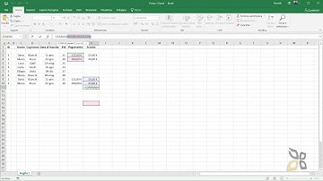 ECDL  Modulo 4   Sezione 4   Formule e Funzioni
