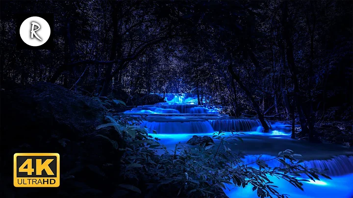 Forest Sounds at Night - Crickets, Creek Water Sounds, Rain & Thunder 🎧 Nature Sound