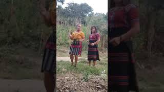 chapinas de corte chapinas de corte