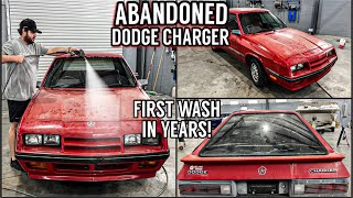 ABANDONED Barn Find 1985 Dodge Charger | First Wash In Years! Satisfying Car Detailing Restoration!