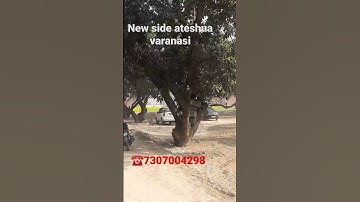 Residential Plot ( Land ) For Sale in Varanasi ( Ateshua ) 7307004298