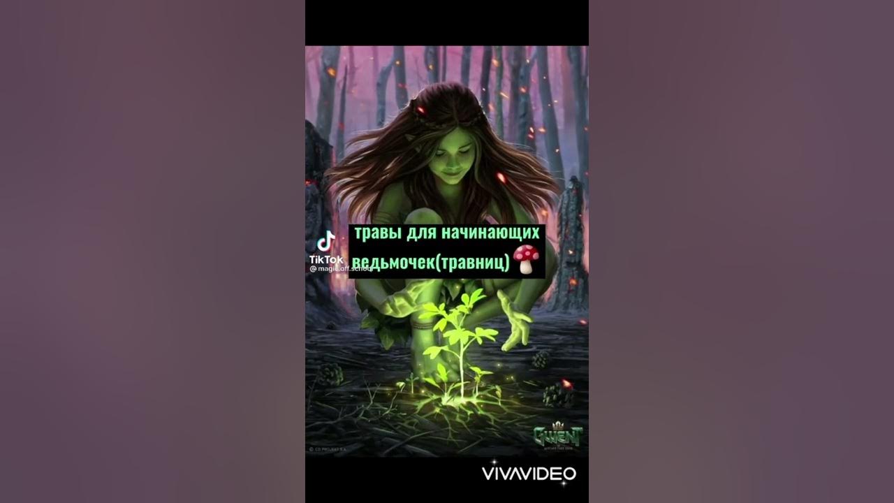 🥑для ведьм (травниц) 41 видео 🥑 - YouTube