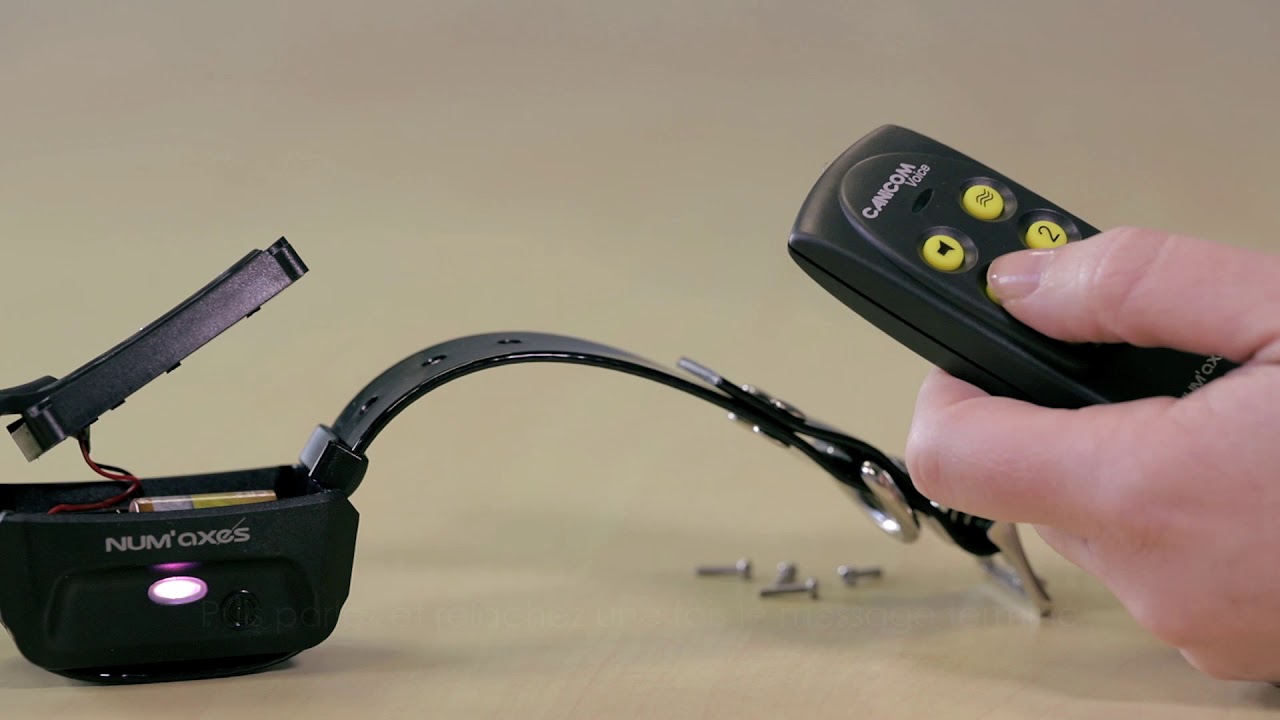 Tutoriel video Canicom Voice NUMAXES