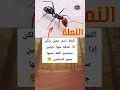 لغز صعب كلمة النملة إذا حذفت منها حرفين تصبح كلمة يحبها كل مسلم هل تعرفها اكسبلور