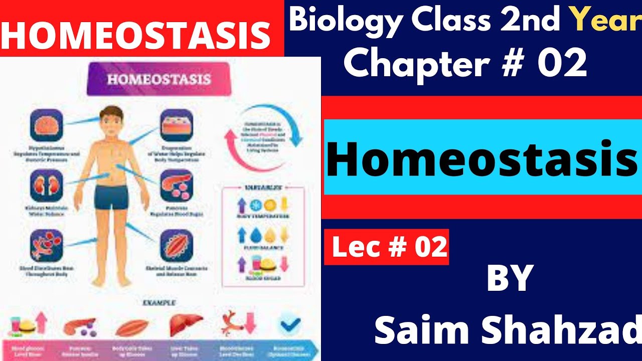 Biology Class 12 Chapter 15 Homeostasis Topic Introduction To Biology class 12 chapter 15 homeostasis topic introduction to