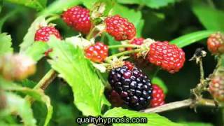 Qualityhypnosis.com Confidence Building Guided Meditation