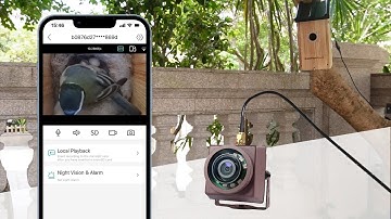 How to Install WiFi Bird Box Camera by Using Mobile Phone