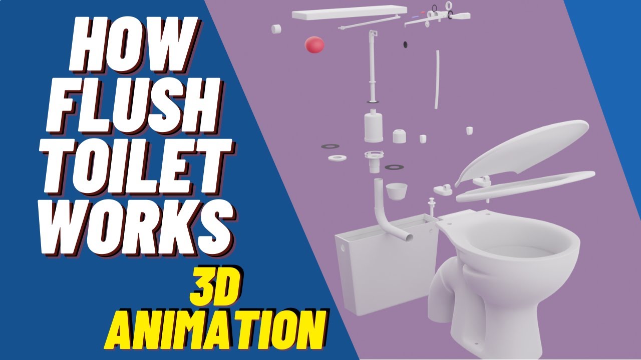 flush คือ  New  How Flush Toilet Works? | 3D Animation | Siphon