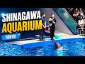 Maxell Aqua Park Shinagawa, A look Inside