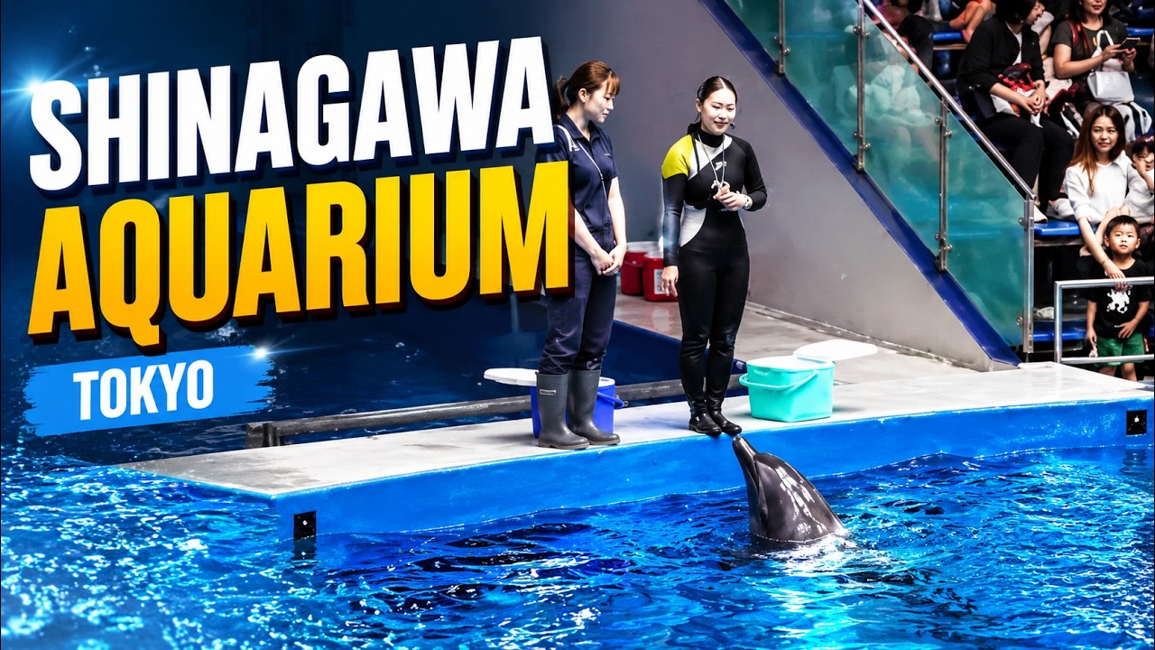 Maxell Aqua Park Shinagawa, A look Inside
