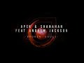 APEK & Shanahan ft. Andrew Jackson - Broken Souls (Lyric Video)