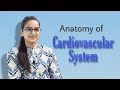 Anatomy of Cardiovascular System| Structure of Heart and Blood Vessels