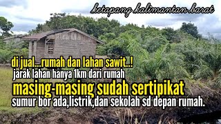 House   oil palm land for sale...in the Sungai Sirih Trans, Ketapang, West Kalimantan. Strategica...