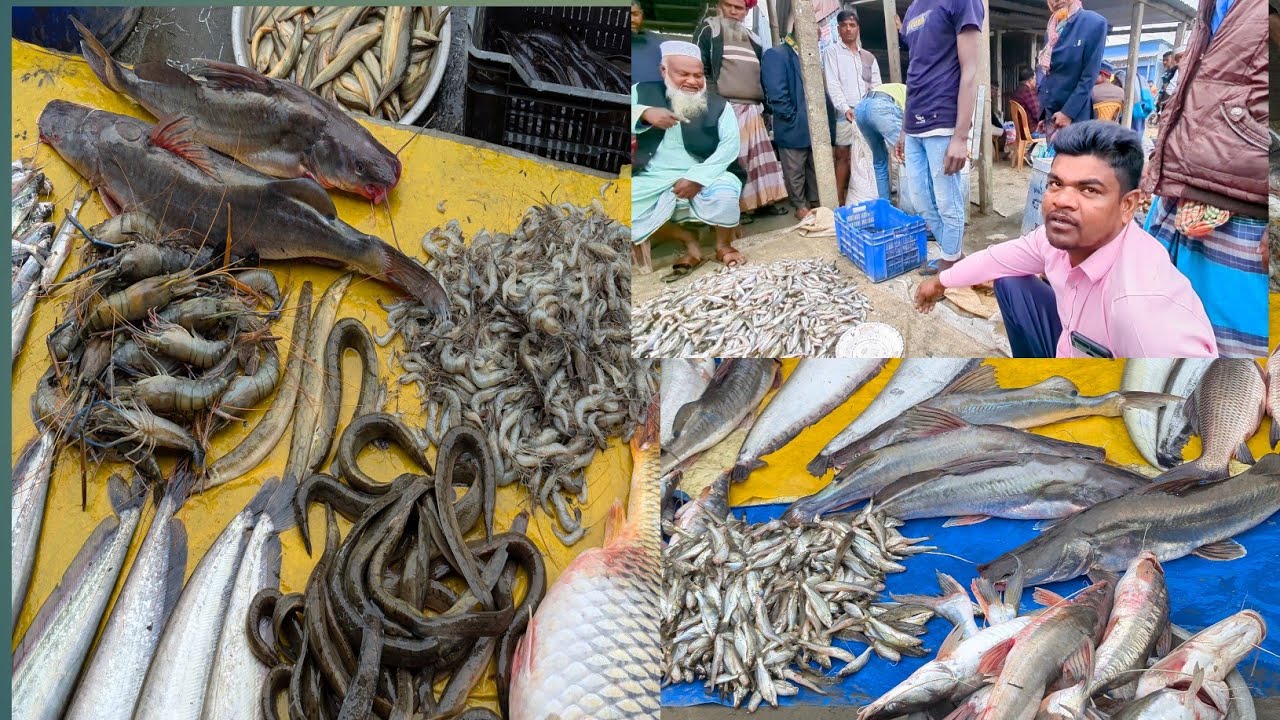 মাছের ব্যবসা fish business | কিশোরগঞ্জ হাওরের তরতাজা মাছ | Rivers fish | দেশি পাঁচমিশালি মাছ |