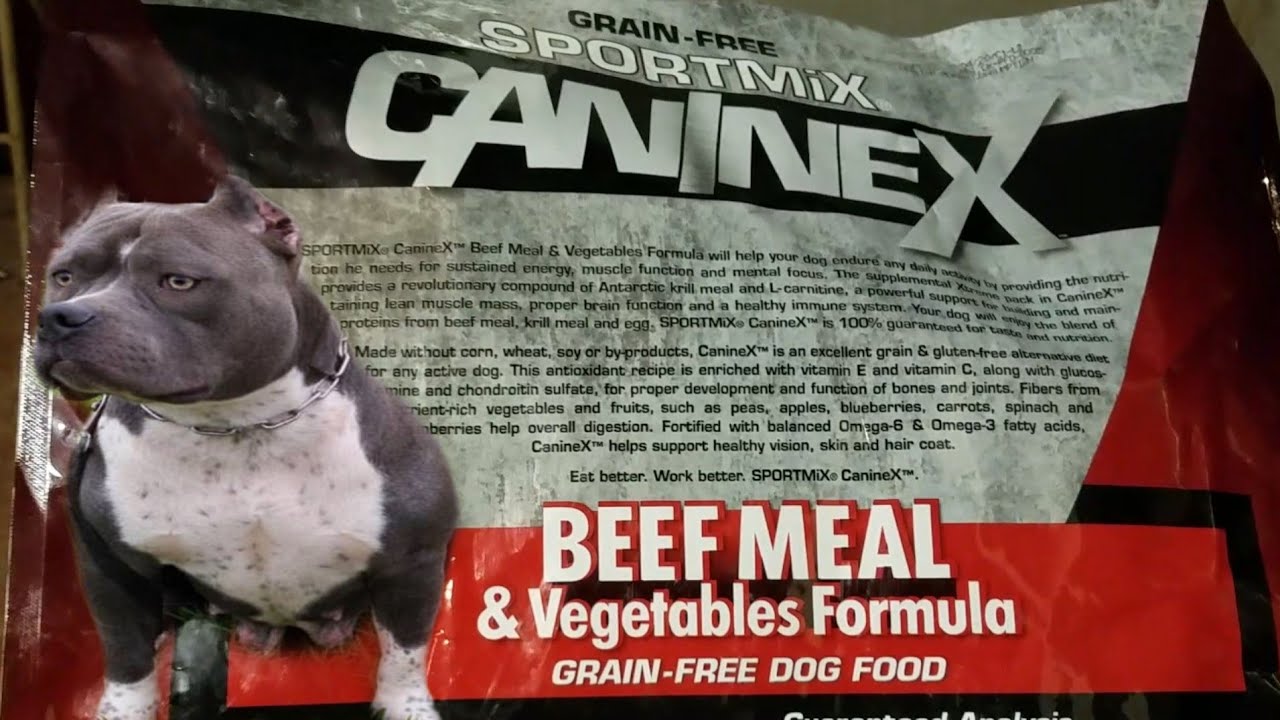 "NEW DOG FOOD" What are your American Bullys eating? YouTube