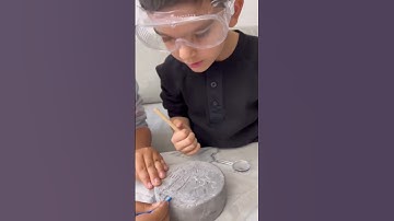 #shorts Sponsored Amazing Fossil Dig Kit!Uncover 6 Real Fossils #horizongroupusa