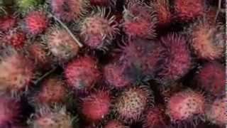 Worlds 10 Most Expensive Fruits