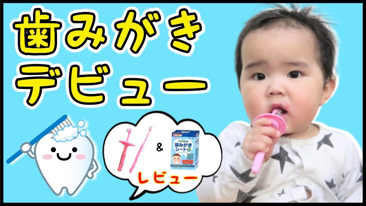 赤ちゃん はじめての歯ブラシ 歯磨きデビューで面白い反応 ハブラシ 歯みがきシート 0歳 Youtube