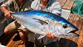 Amazing Seafood Cutting Skills with Fresh Tuna Fish 🔥🔪