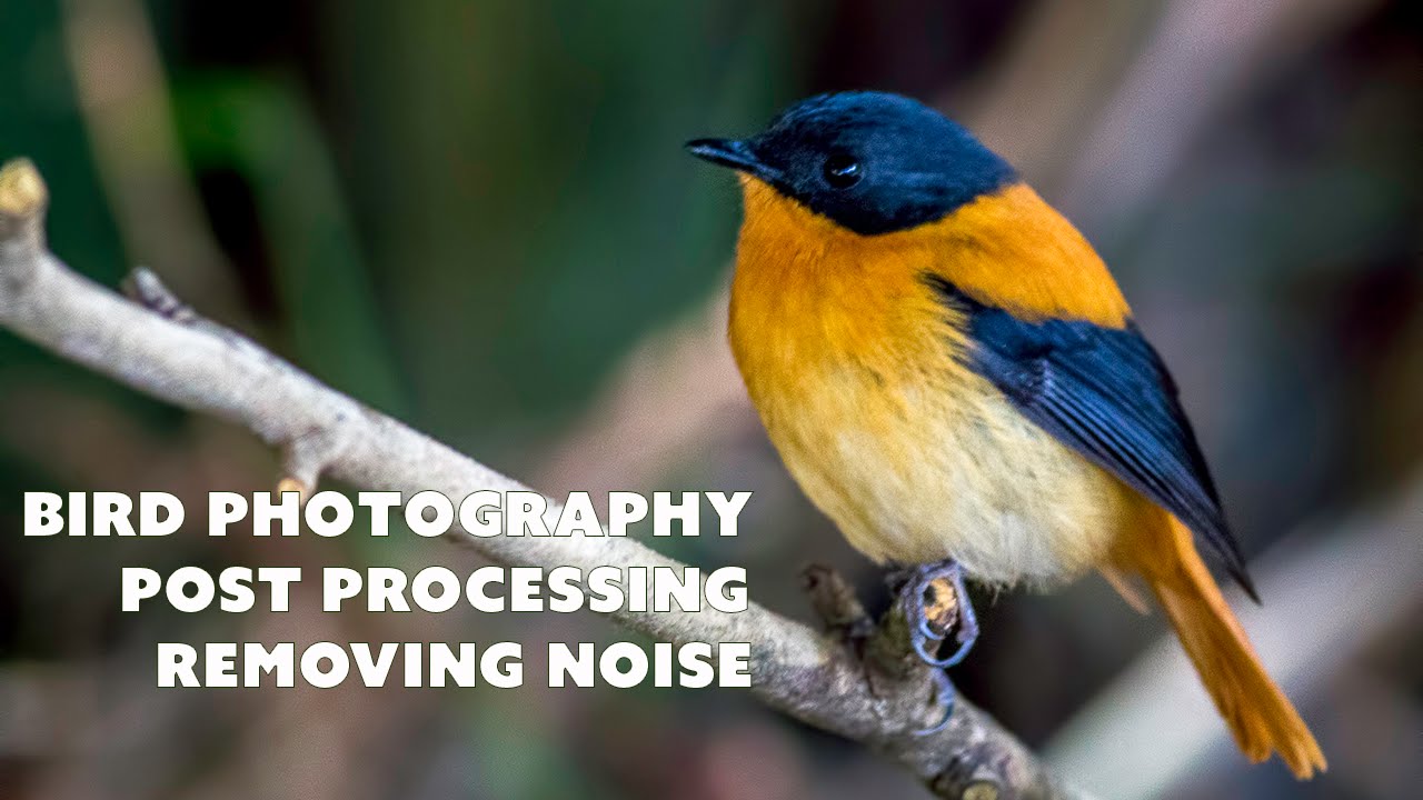 Post Processing - Removing noise - YouTube