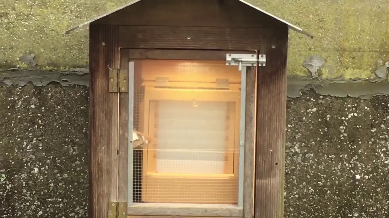 Leermeester begint eraan🙂🙂🙂 Dat 1ste vinkenzang na de winterdagen doet toch deugd!