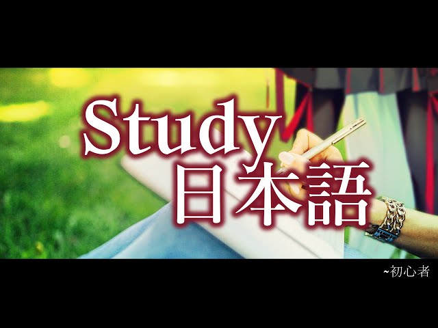 【 Study 】 📖のサムネイル
