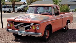 1964 Dodge D100 Sweptline Short bed truck 'aka'Salmonella