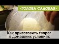 Голова садовая - Как приготовить творог в домашних условиях