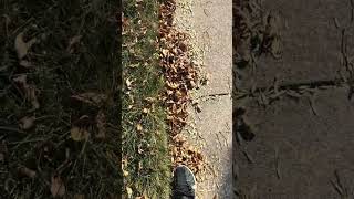 IMG 6906