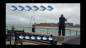 Thử mồi câu cá Nục tự làm | fishing UK | Mắt To TV |