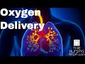 Oxygen Delivery and consumption