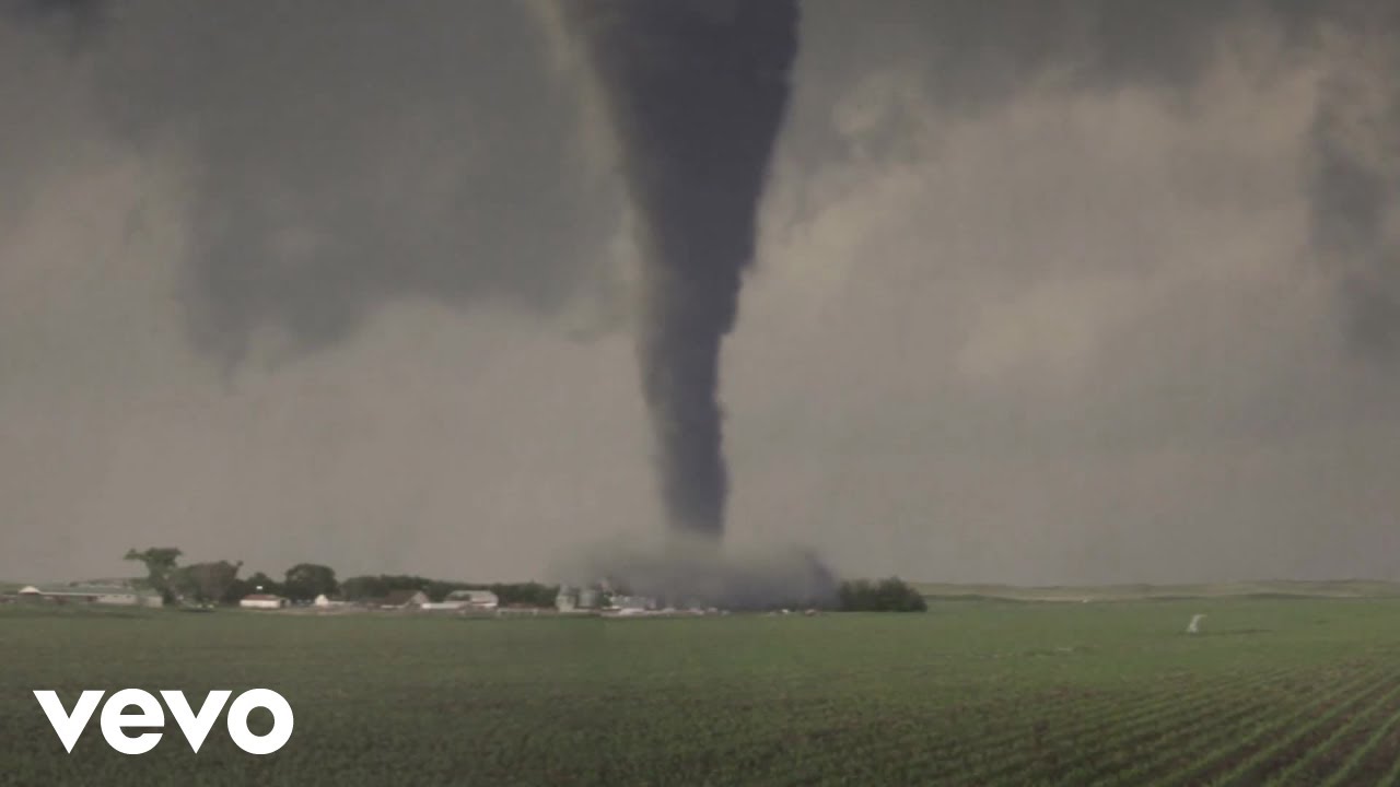 Carbon Lifeforms - Insurance Game (Official Music Video)