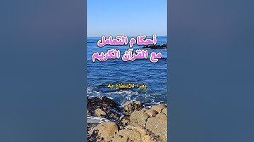 أحكام التعامل مع القرآن الكريم #جمال_لطفي #اكسبلور #دعاء #viral #video #دعاء_مستجاب #اسلاميات