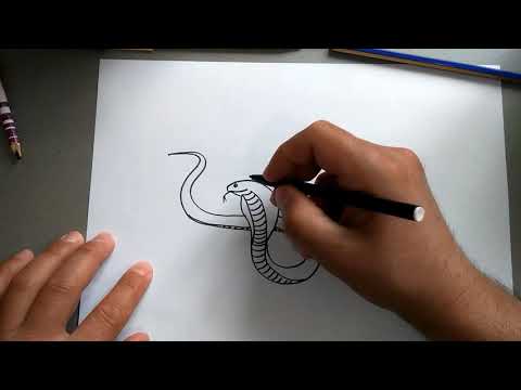 Video: Bir Kobra Nasıl çizilir