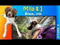 A DOG'S Perspective of Rico, CO
