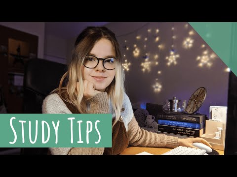 Study Advice from a Study With Me Streamer